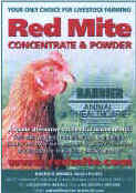 redmitead.jpg (28443 bytes)