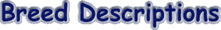 desc.gif (3071 bytes)