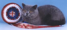 miller4.jpg (6111 bytes)