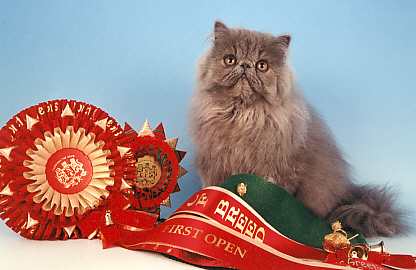 puskagibbons.jpg (16240 bytes)