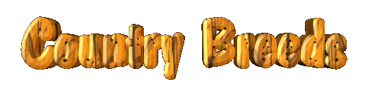 logo.gif (27303 bytes)
