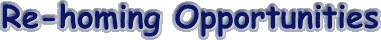 rehoming3.gif (3680 bytes)