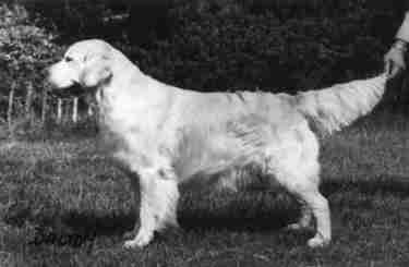 scholes.jpg (10479 bytes)