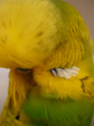 13-7-4.JPG (1014819 bytes)