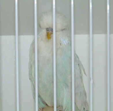 S A Show 03 009a.jpg (319126 bytes)