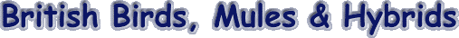 british.gif (4908 bytes)