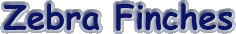 zebra.gif (2386 bytes)