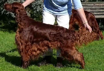 Connor5.jpg (80086 bytes)
