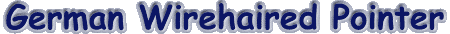 gerwp.gif (4318 bytes)