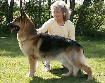 barney.jpg (16797 bytes)