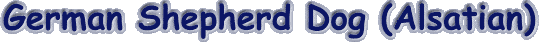 gsd.gif (5227 bytes)