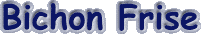 bichon.gif (2112 bytes)
