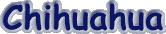 chihuahua.gif (1831 bytes)
