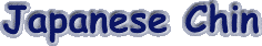 chin.gif (2409 bytes)