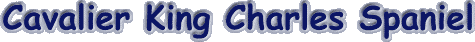 ckcs.gif (4725 bytes)