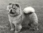 bowker3.jpg (4252 bytes)