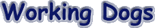 working.gif (2565 bytes)